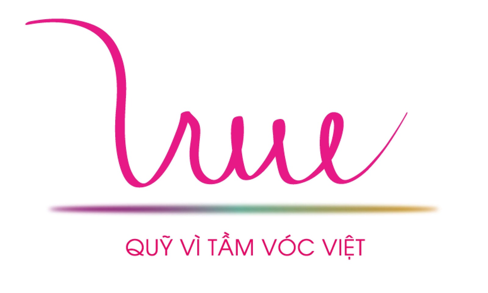 Quỹ vì tầm vóc Việt