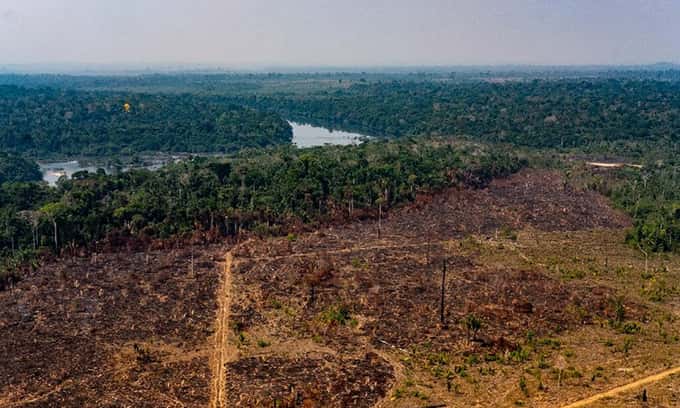 nạn phá rừng amazon