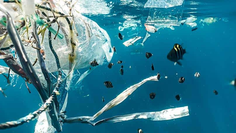 rác thải nhựa đại dương