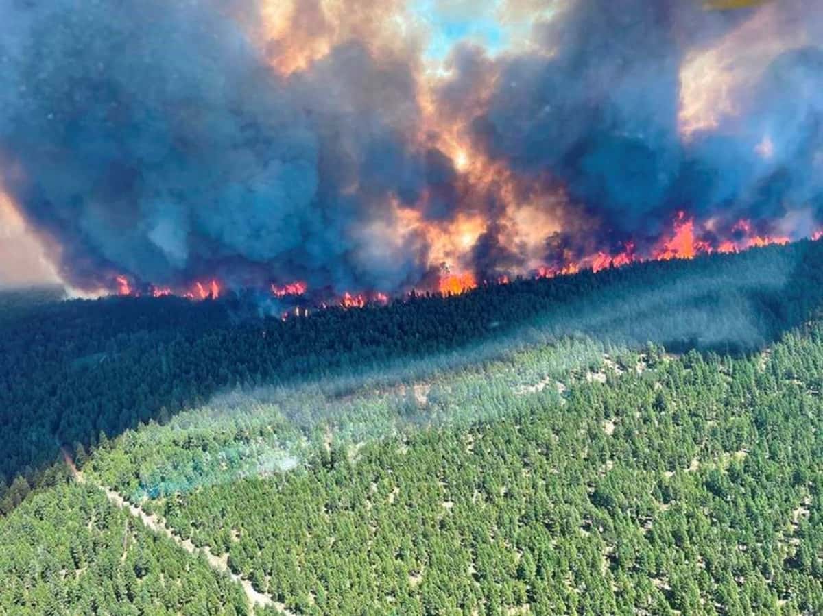 Cháy rừng ở British Columbia, Colombia ngày 29/6/2021.