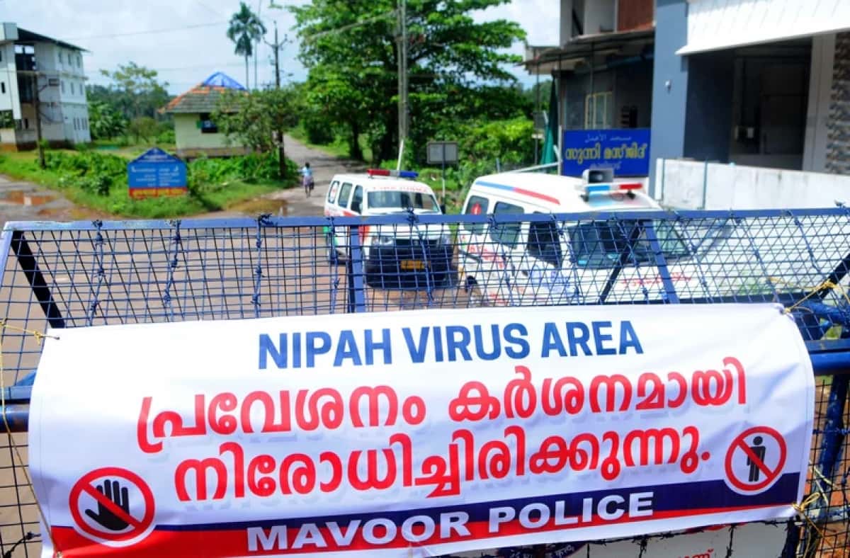 Virus Nipah ở Ấn Độ