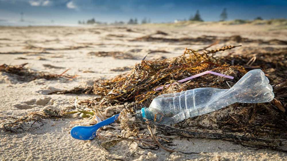 rác thải nhựa đại dương