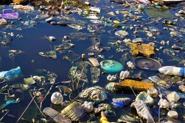 ô nhiễm rác thải trên sông