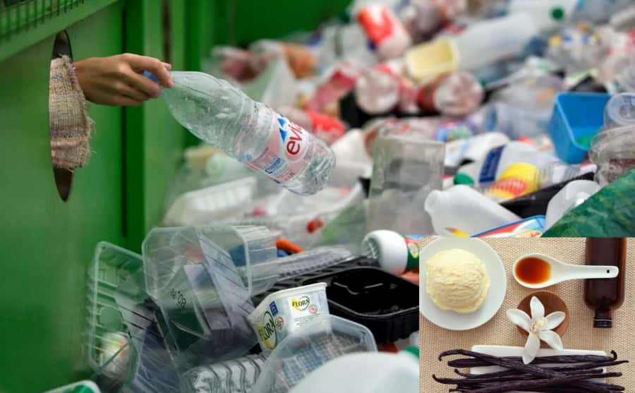 rác thải nhựa biến thành vani