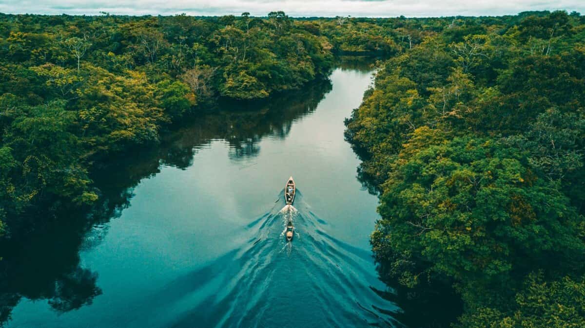 Lưu vực sông Amazon. 