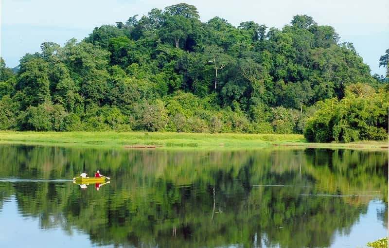rừng nguyên sinh nổi tiếng tại Việt Nam