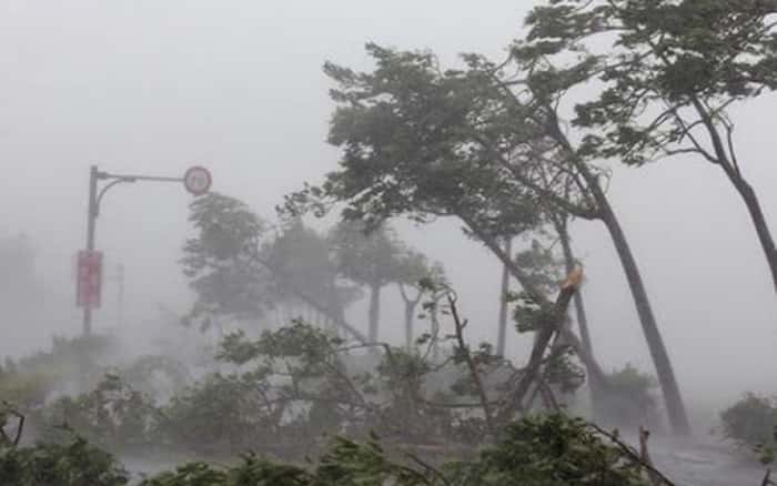 Bão số 2 đã gây thiệt hại lớn trên địa bàn tỉnh Nam Định.