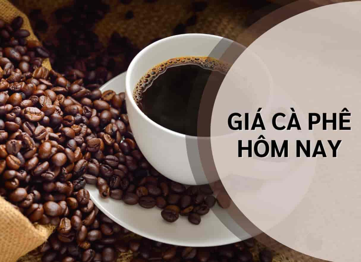 Giá cà phê hôm nay 6/9: Giá cà phê tiếp đà tăng mạnh