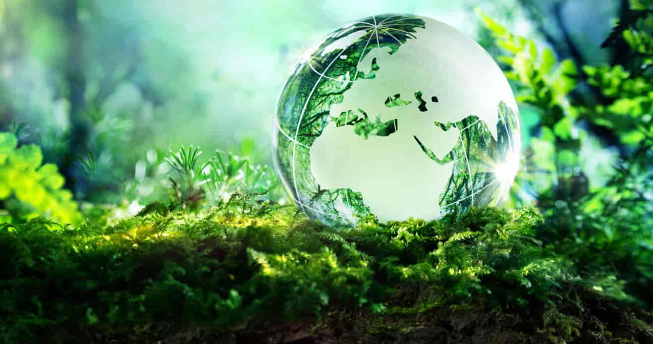 Công bố quốc tế lĩnh vực môi trường số 15-2023