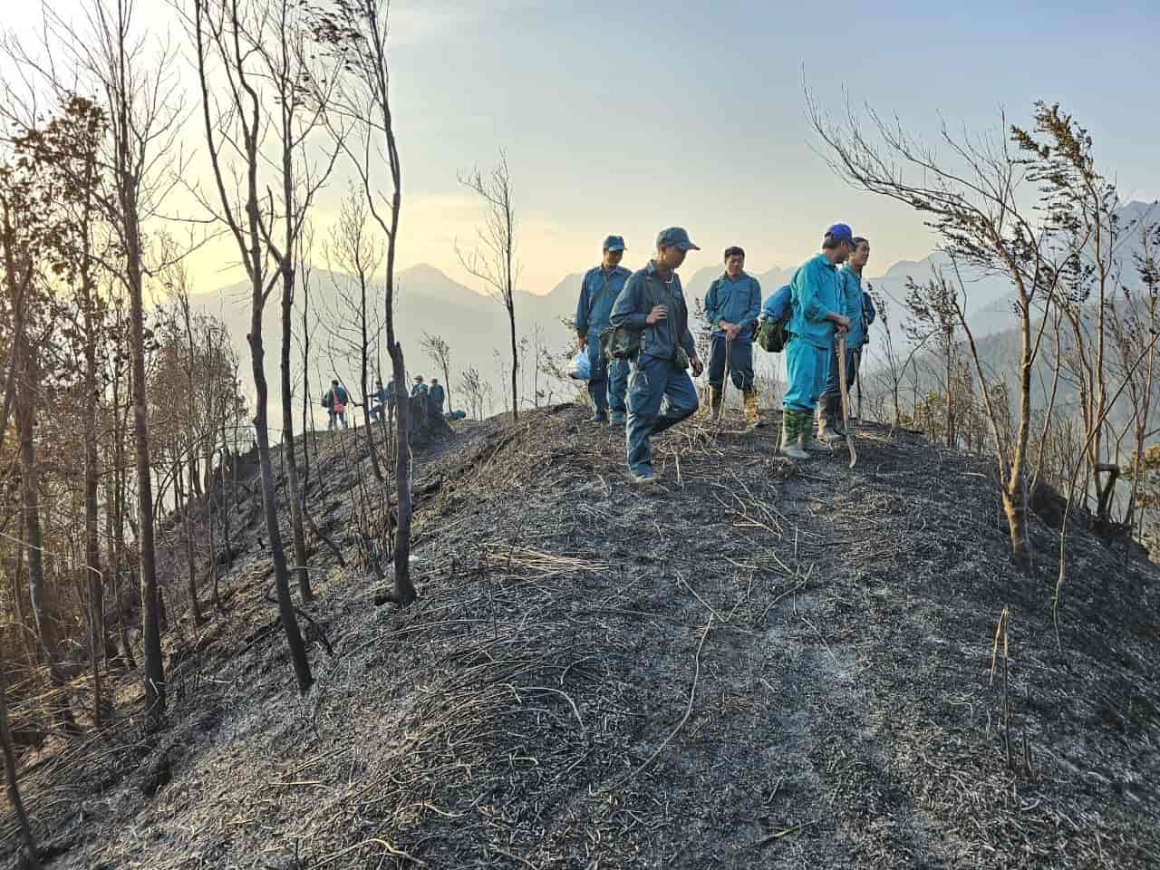 Yên Bái: Tăng cường biện pháp cấp bách phòng cháy chữa cháy rừng