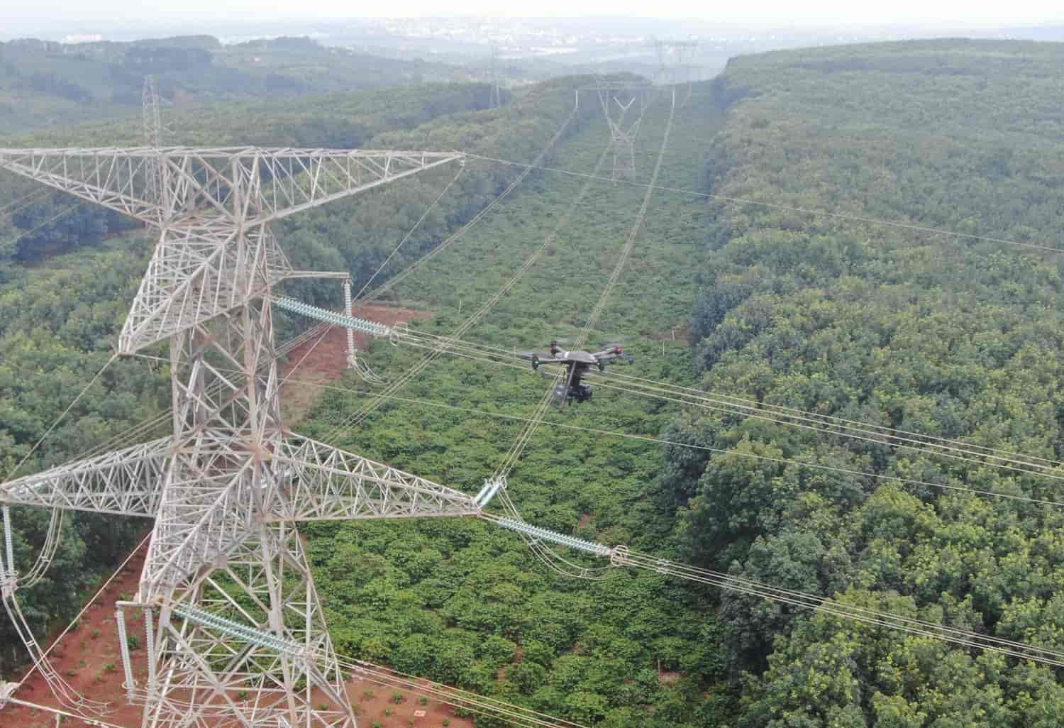 Kiến nghị Chính phủ cho phép tạm tác động vào rừng để thi công đường dây 500 kV mạch 3