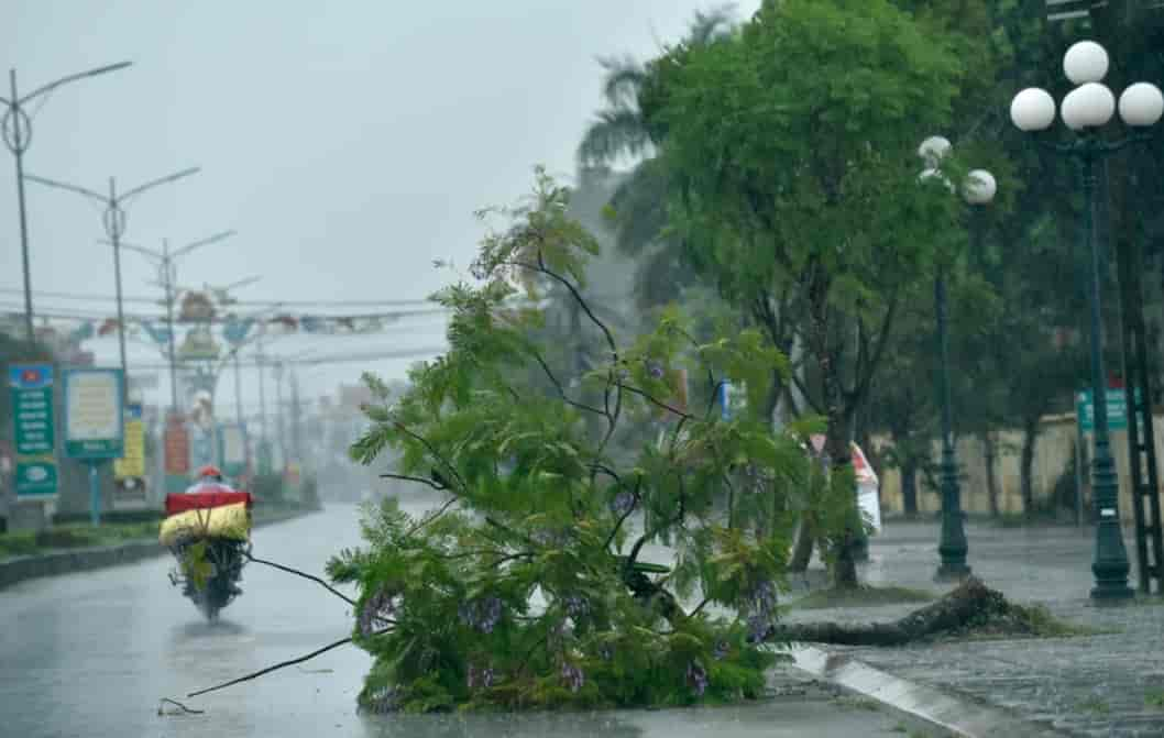 Cảnh báo trong những tháng tới bão tập trung nhiều ở Trung bộ và Nam bộ