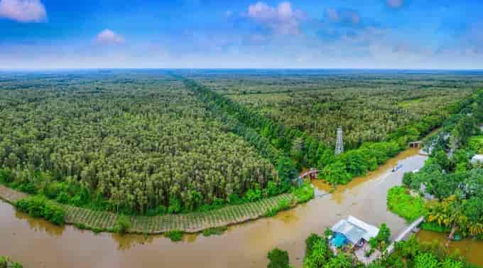 Nỗ lực hồi sinh và khôi phục các vùng đất ngập nước tại Việt Nam