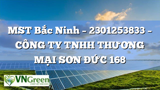 MST Bắc Ninh – 2301253833 – CÔNG TY TNHH THƯƠNG MẠI SƠN ĐỨC 168