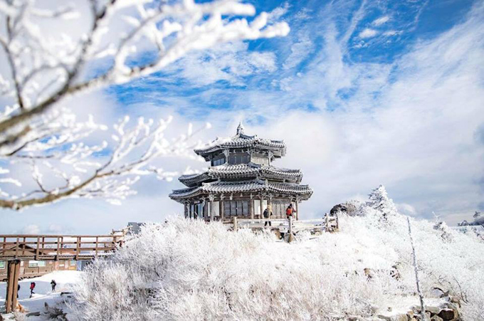 Khu resort Muju trên đỉnh núi dành cho những du khách yêu thích bộ môn trượt tuyết và các môn thể thao dưới trời lạnh. Đỉnh núi này còn được mệnh danh là đỉnh Alps của Hàn Quốc khi vào mùa đông, vạn vật đều đóng băng toàn bộ. 